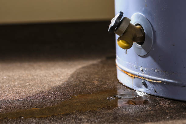 Best Emergency water extraction  in Dash Point, WA