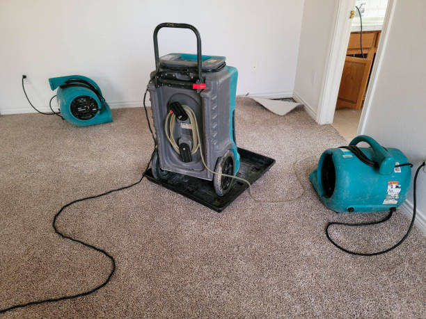 Best Emergency water damage restoration  in Dash Point, WA