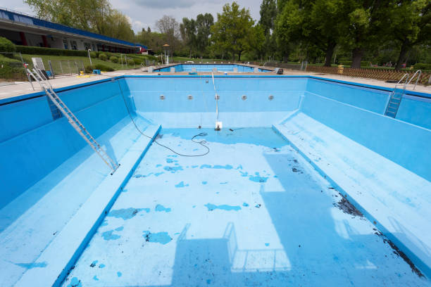 Best Water damage restoration near me  in Dash Point, WA