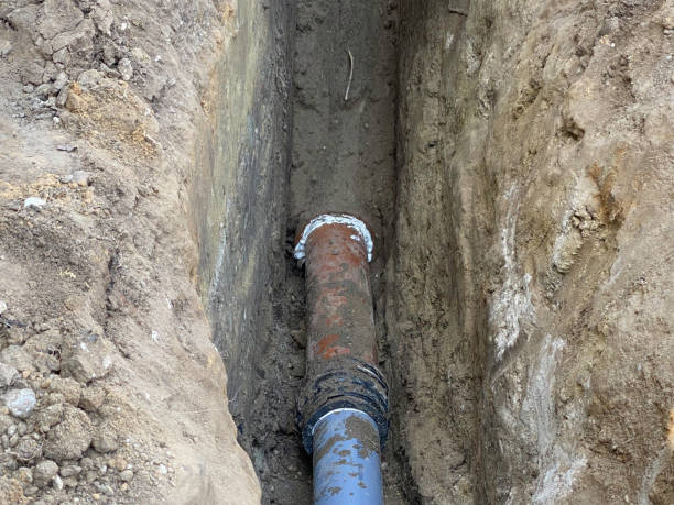 Best Flood restoration services  in Dash Point, WA