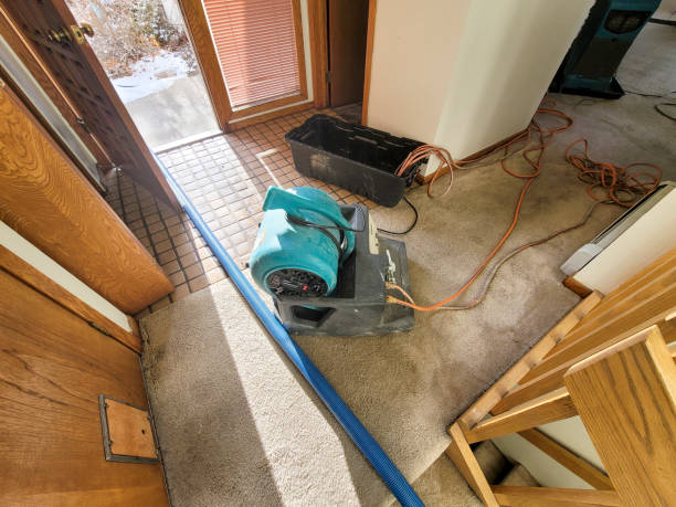 Best Emergency water damage restoration  in Dash Point, WA