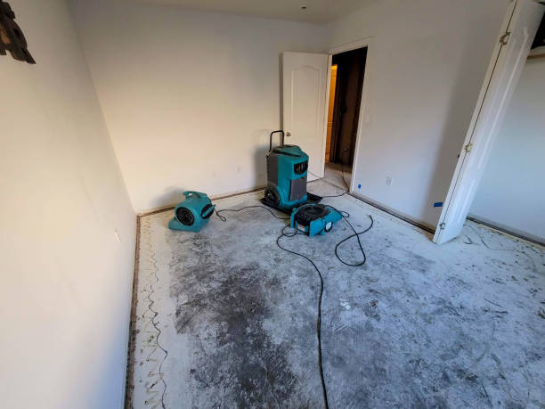 Best Flooded house restoration  in Dash Point, WA
