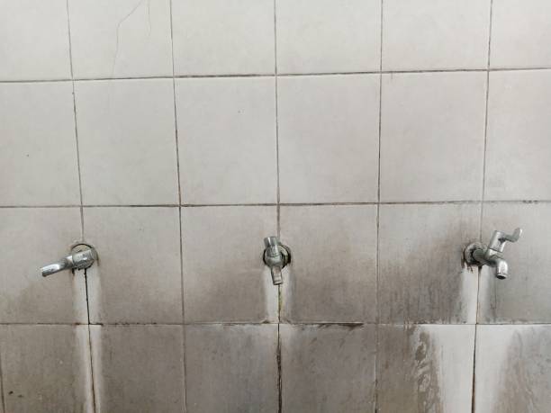 Best Water damage repair service  in Dash Point, WA
