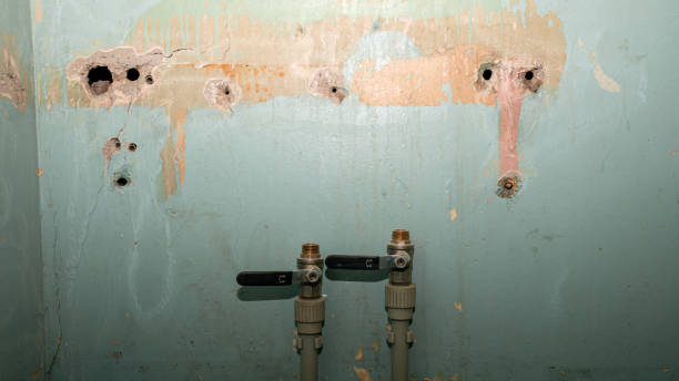  Dash Point, WA Water damage restoration Pros