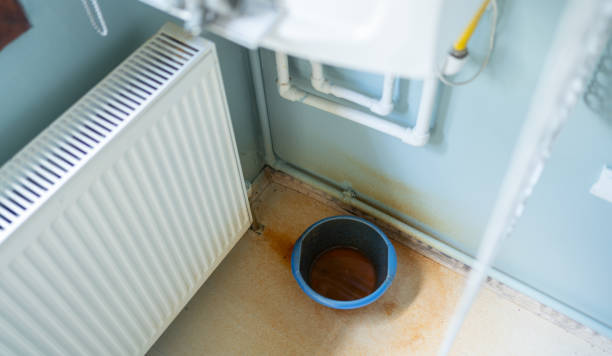 Best Water damage contractors near me  in Dash Point, WA