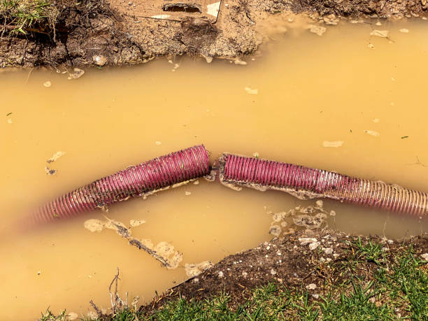 Best Flood damage cleanup  in Dash Point, WA