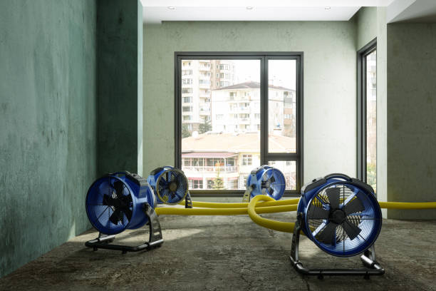 Best Residential water damage restoration  in Dash Point, WA